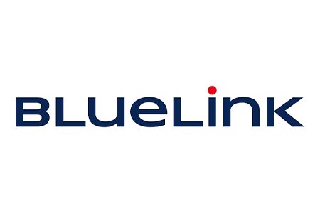 Logo de notre client Bluelink